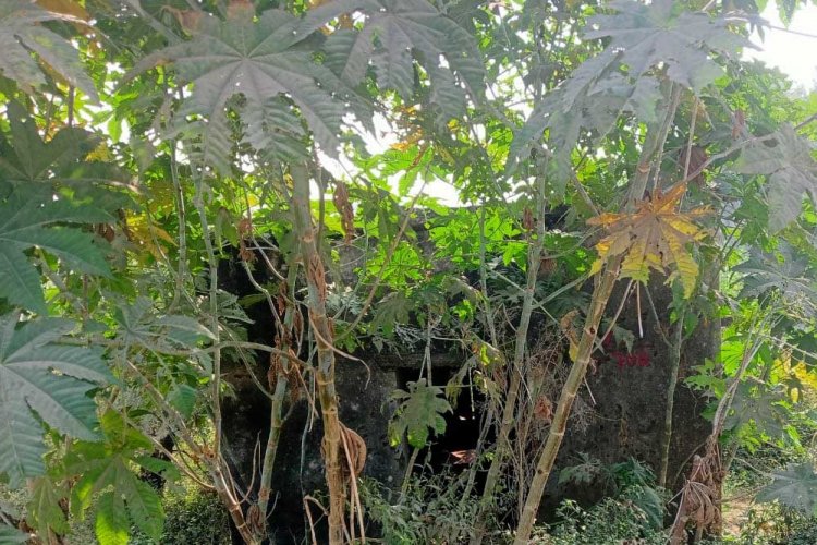 महीनों से बंद पड़ा बरगवां का चीरघर, शवों के पोस्टमार्टम के लिए लोगों को करना पड़ रहा बैढन का रुख