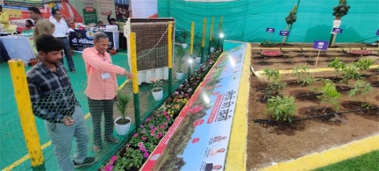 छत्तीसगढ़ राज्योत्सव में संचालनालय उद्यानिकी द्वारा तैयार बागवानी का आकर्षक जीवंत प्रदर्शन