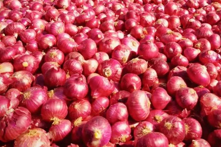 घटेंगी प्याज की कीमतें, नासिक से पहुंच गई है 50 ट्रक से भी ज्यादा माल लेकर ‘कांदा एक्सप्रेस’