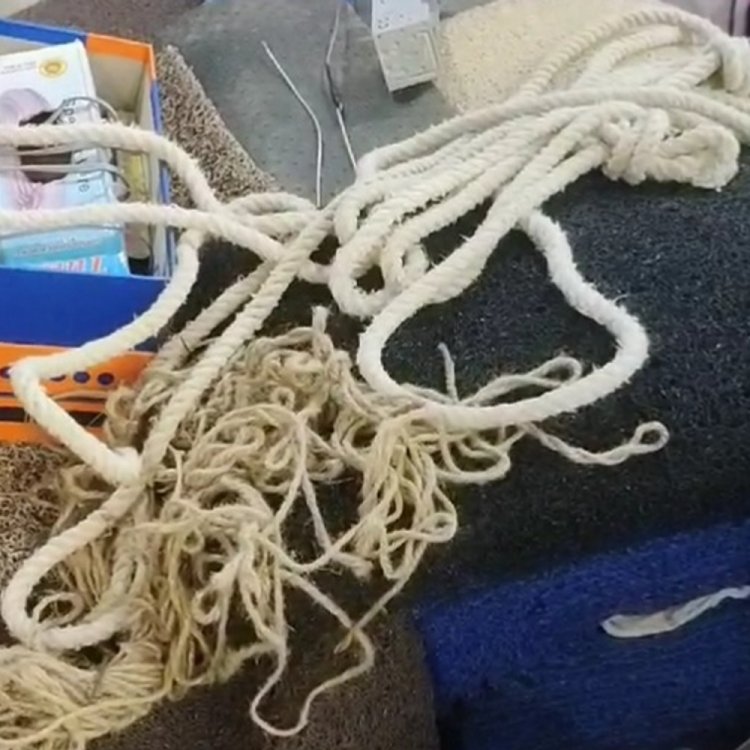 रीवा में सीसीटीवी का डीवीआर भी चुरा ले गए चोर:रस्सी के सहारे छत में दाखिल हुए; ढाई लाख की चोरी को दिया अंजाम