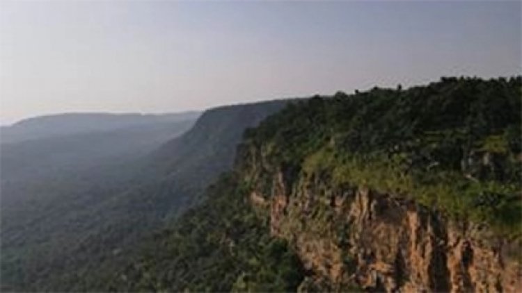 गुरुघासीदास राष्ट्रीय उद्यान देश का 53वां टाइगर रिजर्व