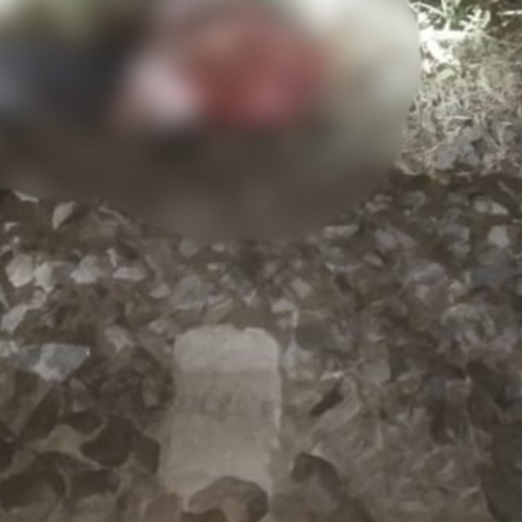 काशी एक्सप्रेस के सामने युवक ने कूदकर दी जान:सोहागपुर में टीबी की बीमारी से परेशान था युवक, सुसाइड का कारण अज्ञात