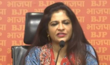 केजरीवाल दिल्ली विधानसभा चुनाव प्रचार में नरेश यादव की करतूतों के बारे में बताएं : शाजिया इल्मी