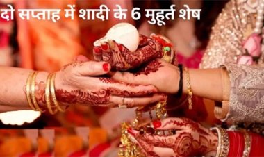 दिसंबर में 12 दिन तक पंडित, दर्जी, फूल, कैटरर्स कोई खाली नहीं