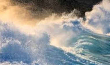 कलिंगा लांसर्स ने वैलेंटिन अल्टनबर्ग को मुख्य कोच नियुक्त किया