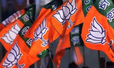 छत्तीसगढ़-रायपुर में भाजपा के होंगे 20 मंडल, जिला संगठन चुनाव कार्यशाला में की घोषणा