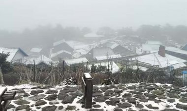Weather Update: पहाड़ों में जोरदार बर्फबारी, बदल जाएगा दिल्ली-NCR और उत्तर भारत का मौसम