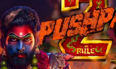 'पुष्पा 2' ने दुनियाभर के बॉक्स ऑफिस पर 500 करोड़ रुपये से अधिक की कमाई की