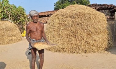 दाने-दाने के लिए करना पड़ता है मेहनत, खाते में आती है राशि तो मिलती है खुशी