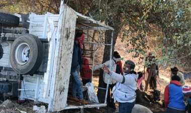 बुरहानपुर ​​​​​​में अवैध गौवंश तस्करी वाला ट्रक दुर्घटनाग्रस्त:3 पशुओं की मौत, कई घायल; वाहन चालक फरार, तलाश में जुटी पुलिस