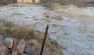 मैनपाट में बिछा पाला, तापमान तीन डिग्री पहुंचा...