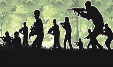 बीजापुर मुठभेड़ में दो नक्सली ढेर