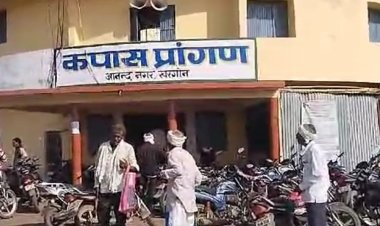 CCI की 6 दिन बंद रहेगी कपास खरीदी:मंडी सचिव ने जारी की सूचना, 23 दिसंबर से खरीदी होगी