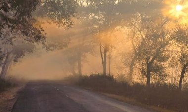 मंडला में 05 डिग्री ऊपर चढ़ा पारा:न्यूनतम तापमान फिर भी 3.5 डिग्री पर, कोहरे का असर तेज हुआ