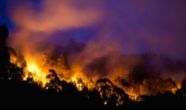 ऑस्ट्रेलिया : जंगल में लगी भीषण आग जल्द नहीं बुझेगी, अलर्ट जारी