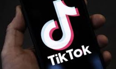 अल्बानिया ने टिकटॉक को एक साल के लिए बंद करने का फैसला किया