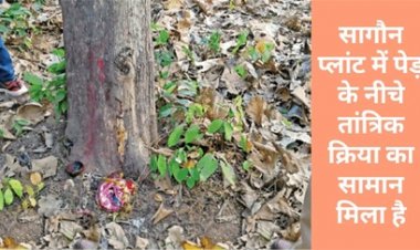 सागौन प्लांट में पेड़ के निचे तांत्रिक क्रिया का सामान मिला है