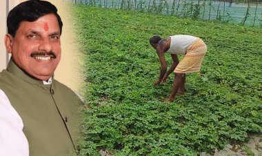 किसानों को दलहन और तिलहन उत्पादन के लिए भी करें प्रोत्साहित : मुख्यमंत्री डॉ. यादव