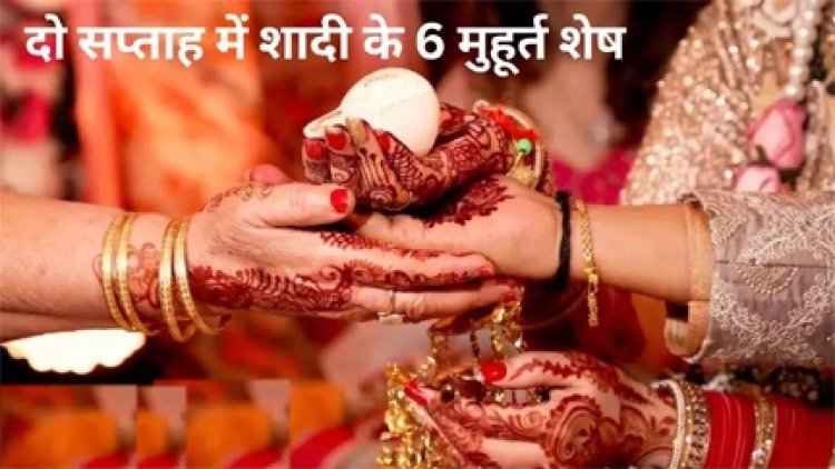 दिसंबर में 12 दिन तक पंडित, दर्जी, फूल, कैटरर्स कोई खाली नहीं