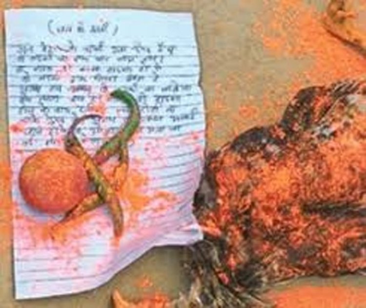 ग्रामीण के घर तंत्र मंत्र, आंगन में मिले नींबू, मिर्च और मरी मुर्गी