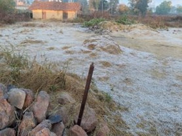 मैनपाट में बिछा पाला, तापमान तीन डिग्री पहुंचा...