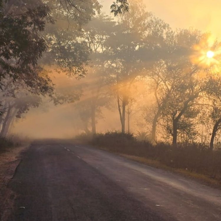 मंडला में 05 डिग्री ऊपर चढ़ा पारा:न्यूनतम तापमान फिर भी 3.5 डिग्री पर, कोहरे का असर तेज हुआ