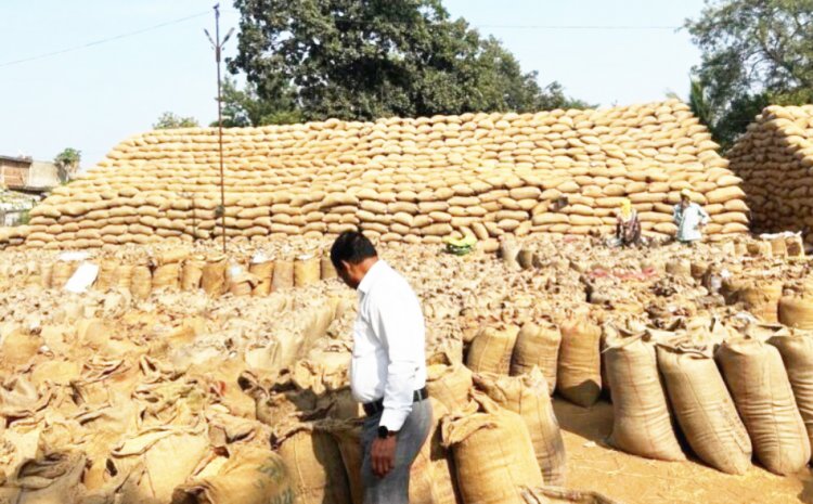 खरीदी केंद्रों में धान की बोरियों का पहाड़,  नमी बताकर  धान नहीं लिया जा रहा