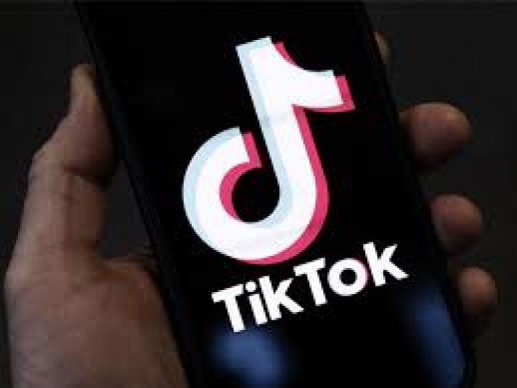 अल्बानिया ने टिकटॉक को एक साल के लिए बंद करने का फैसला किया