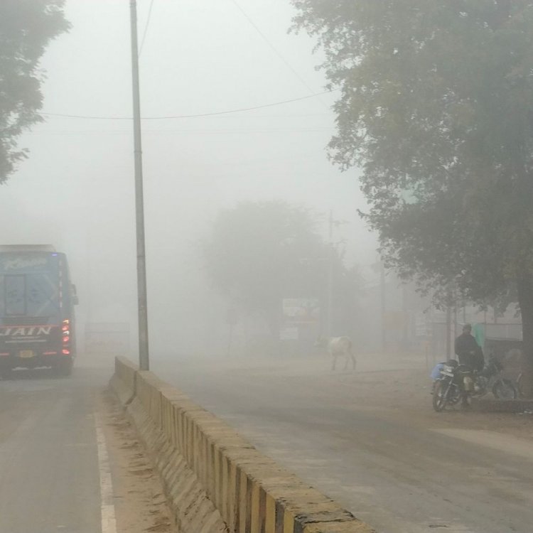 श्योपुर में छाया घना कोहरा:विजिबिलिटी 10 मीटर से भी कम, ठंड ने बढ़ाई परेशानियां, न्यूनतम तापमान में गिरावट