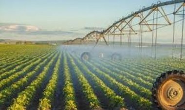 दो सिंचाई योजना के कार्यों के लिए 4.46 करोड़ स्वीकृत