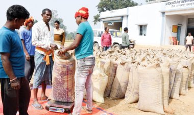 बलरामपुर में अब तक डेढ़ लाख टन धान खरीदी