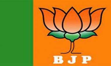 भाजपा ने दिल्ली में 29 उम्मीदवारों की पहली सूची जारी की