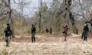 सुकमा में थी बड़े नक्सली हमले की साजिश, जवानों की सूझबूझ से हुई नाकाम