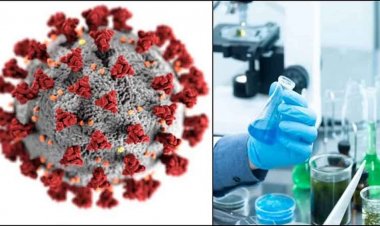 एचएमपीवी संक्रमण के चलते रेलवे स्टेशन और हवाई अड्डों पर जांच शुरू, अस्पतालों में मरीजों की स्क्रीनिंग