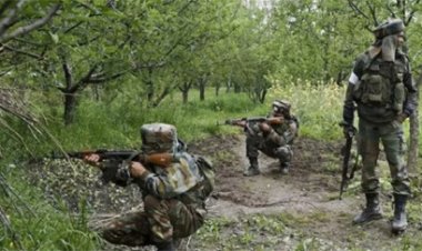 सुरक्षाबलों और नक्सलियों के बीच मुठभेड़, तीन नक्सली को मार गिराया