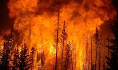 लॉस एंजेलिस में लगी आग किन इलाक़ों में फैली, जानिए क्या हैं ताज़ा हालात