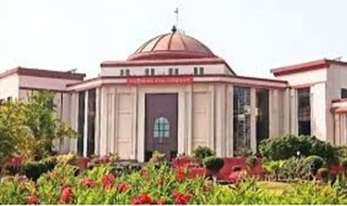 सड़क पर जानवरों को लेकर हाई कोर्ट सख्त, शासन से मांगी रिपोर्ट