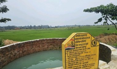 कभी बारिश के पानी पर ही थे निर्भर, मनरेगा के तहत कूप निर्माण से मिली सिंचाई की सुविधा, किसान शेषराम के खेतों में अब बारहों महीने रहती है हरियाली