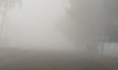 श्योपुर में न्यूनतम तापमान 9 डिग्री दर्ज:स्कूलों में 2 दिन की छुट्टी, 8 किमी प्रति घंटे की रफ्तार से चल रही हवाएं