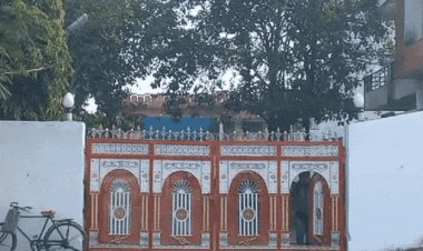 सागर में वन्यजीवों के अवशेषों से बनी 34 ट्रॉफियां,आर्टिकल जब्त:भाजपा के पूर्व विधायक के राठौर बंगले पर वन विभाग की टीम ने की कार्रवाई