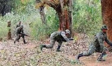 छत्तीसगढ़ के गरियाबंद में सुरक्षा बलों के साथ मुठभेड़ में 14 नक्सली ढेर