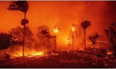 लॉस एंजेलिस में फिर भड़की आग, हज़ारों लोगों को सुरक्षित जगह पर ले जाया गया
