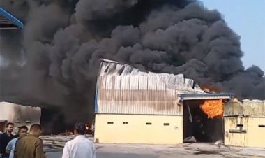 रायपुर में आग से केमिकल प्लांट खाक