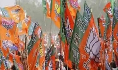 निकाय चुनाव के लिए गरियाबंद और राजनांदगांव जिले में प्रत्याशियों का ऐलान किया गया