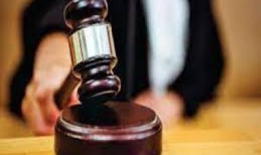 विदेश यात्रा करना संवैधानिक अधिकार है: दिल्ली की अदालत