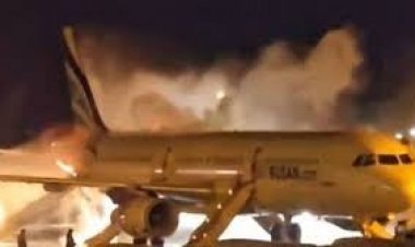 द.कोरिया के हवाई अड्डे पर यात्री विमान में आग लगी, सभी 176 लोग सुरक्षित निकाले गए