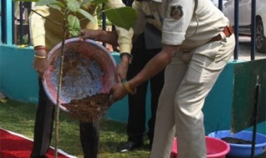 राज्यपाल रमेन डेका ने वन मंदिर वाटिका में ‘एक पेड़ माँ के नाम’ के तहत कदम का पौधा रोपा, वन मंदिर वाटिका की सराहना की