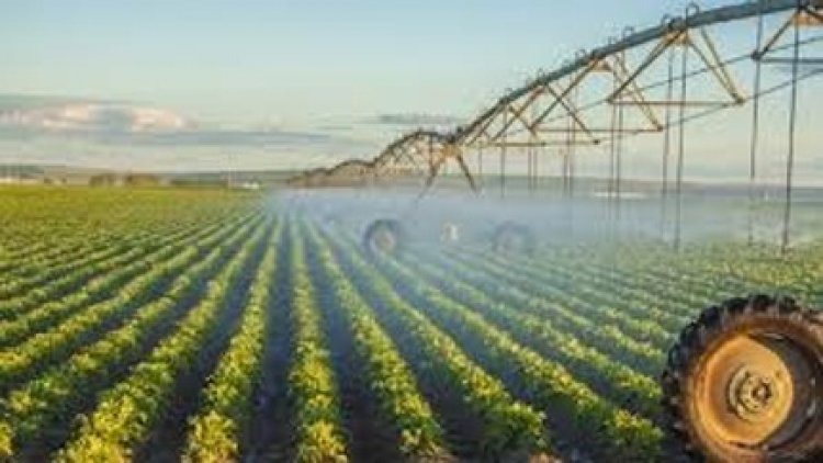 दो सिंचाई योजना के कार्यों के लिए 4.46 करोड़ स्वीकृत