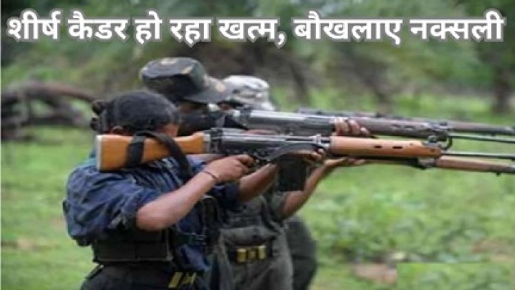 एक हजार सक्रिय नक्सलियों ने बढ़ाई सरकार की चुनौती