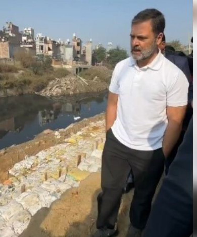 'साफ करो दिल्ली', चुनाव प्रचार के लिए कांग्रेस ने जारी किया राहुल का कैंपेन वीडियो